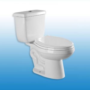 SWAN INDIVIDUAL WATERCLOSET TT017-PB PUSH BUTTON 2PC WHITE WDI FITTINGS