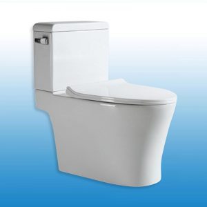 SWAN INDIVIDUAL WATERCLOSET TT042 LEVER TYPE 2PC WHITE WDI FITTINGS