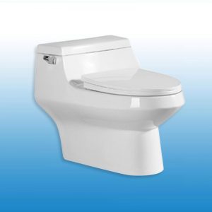 SWAN INDIVIDUAL WATERCLOSET 2084 1PC WHITE WDI FITTINGS
