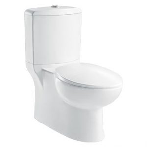 HCG INDIVIDUAL CS4710 CONCEALED DUALFLUSH CC WC SHANGRILA
