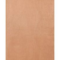 SAVEWOOD FLUSHDOOR 40X70X210 2SIDE MARINE PLAIN LAUAN