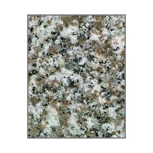 AX GRANITE SLAB 60X180CM G664 ASIAN BROWN