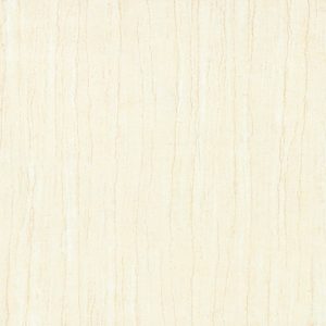 BRILLO FT 60X60CM BA6127 SOLUBLE SALT POL PORCELAIN TILE 4/BX