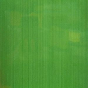 PIERRE WT 20X30CM J2061G GREEN PLAIN 25/BX